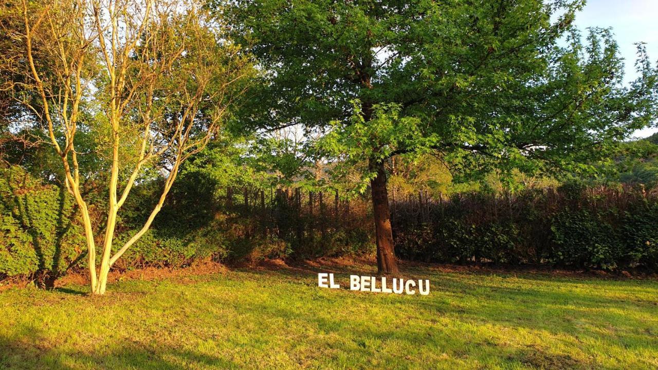 Casa Rural El Bellucu Onís Kültér fotó